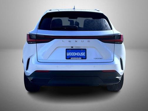 2024 Lexus NX 250 Premium
