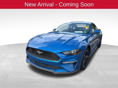 VELOCITY BLUE 2019 Ford Mustang EcoBoost