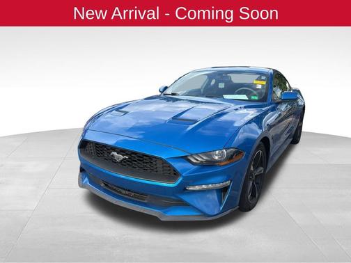 VELOCITY BLUE 2019 Ford Mustang EcoBoost