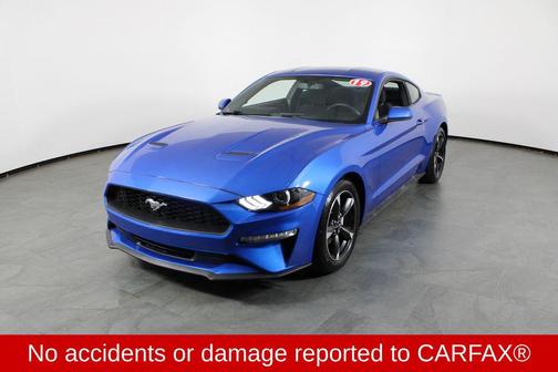 VELOCITY BLUE 2019 Ford Mustang EcoBoost