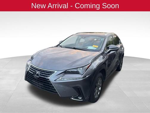 Nebula Gray Pearl 2019 Lexus NX 300h Base