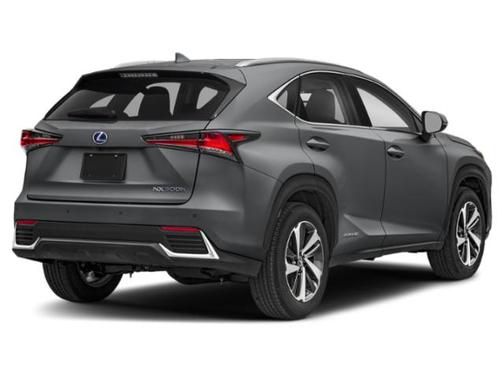 Nebula Gray Pearl 2019 Lexus NX 300h Base