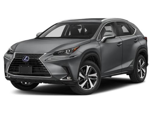 Nebula Gray Pearl 2019 Lexus NX 300h Base