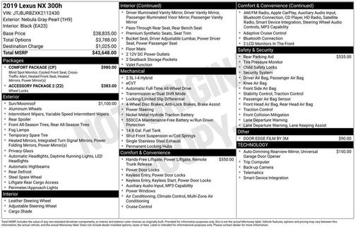 Nebula Gray Pearl 2019 Lexus NX 300h Base