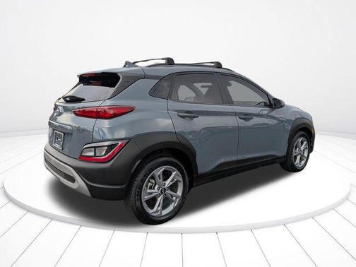Cactus Fern 2023 Hyundai KONA SEL