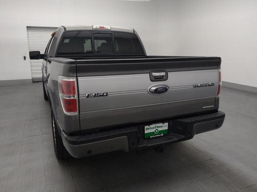 Ingot Silver Metallic 2014 Ford F-150 Platinum