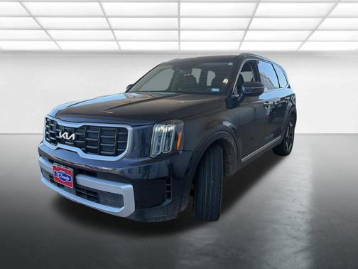 Panthera Metal 2025 Kia Telluride S