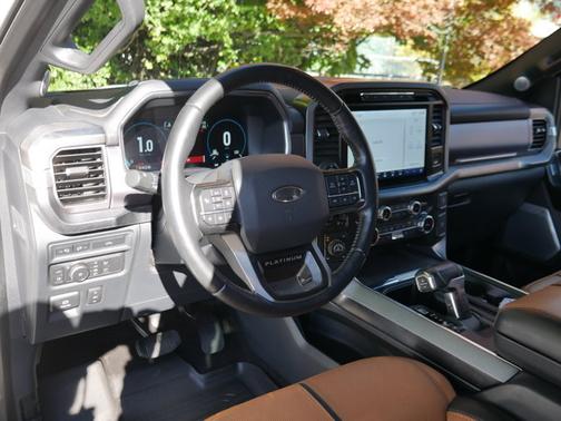 2022 Ford F-150 PLATINUM