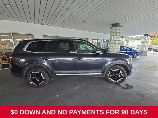 Panthera Metal 2025 Kia Telluride S