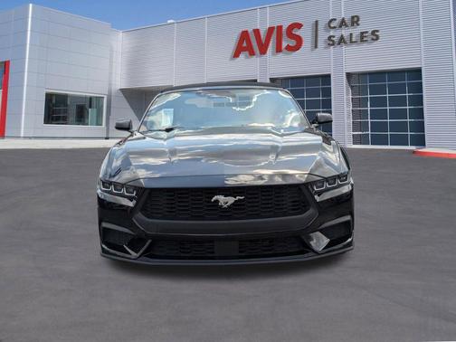 Shadow Black 2025 Ford Mustang EcoBoost Premium