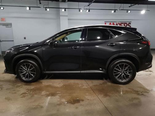 2024 Lexus NX 350 Premium