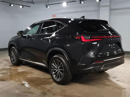 2024 Lexus NX 350 Premium