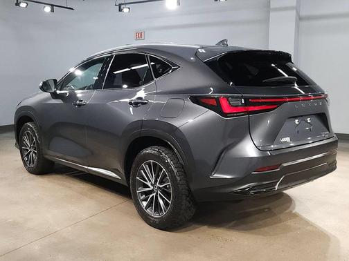 Cloudburst Gray 2024 Lexus NX 350h Premium