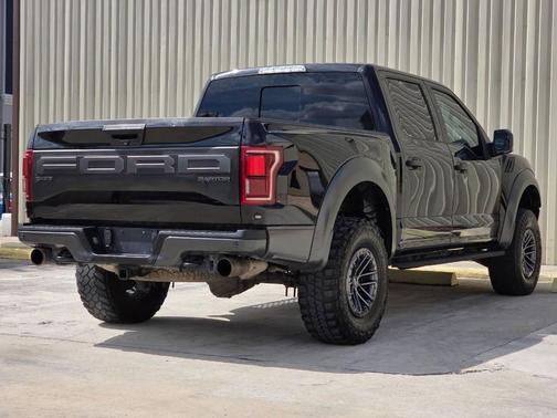2019 Ford F-150 Raptor