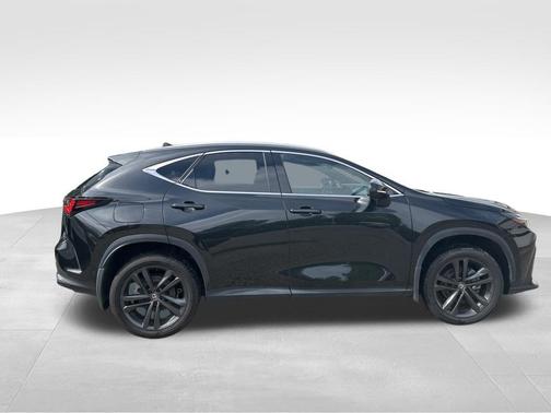 2024 Lexus NX 450h+ Luxury
