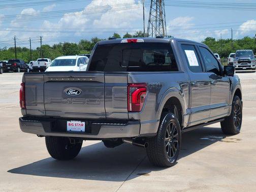 2024 Ford F-150 Platinum