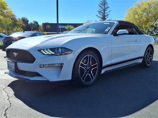 2019 Ford Mustang EcoBoost Premium