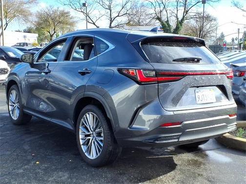 2024 Lexus NX 350h Luxury
