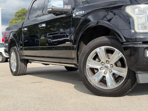 SHADOW BLACK 2017 Ford F-150 Platinum