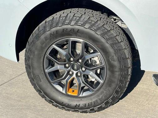 Space Silver Metallic 2025 Ford Expedition Tremor