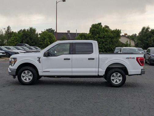 Oxford White 2023 Ford F-150 XLT