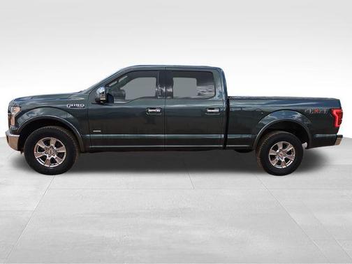 Guard Metallic 2015 Ford F-150 Lariat