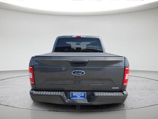 Magnetic 2020 Ford F-150 XL