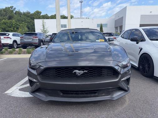 Magnetic Metallic 2019 Ford Mustang EcoBoost Premium