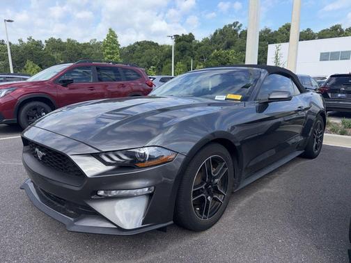 Magnetic Metallic 2019 Ford Mustang EcoBoost Premium