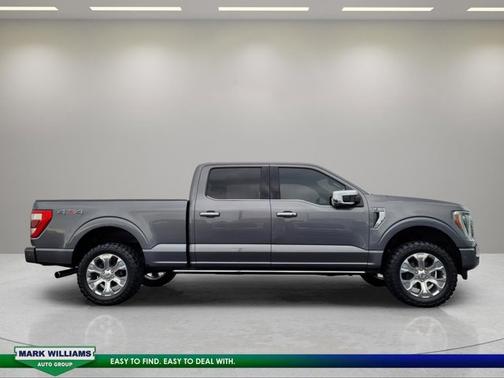 CARBONIZED GRAY METALLIC 2021 Ford F-150 PLATINUM