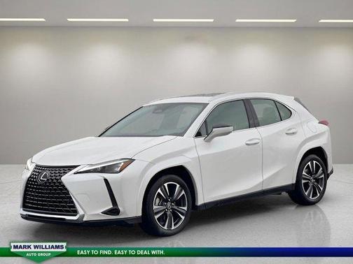 2025 Lexus UX 300h 300H