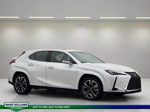 2025 Lexus UX 300h 300H