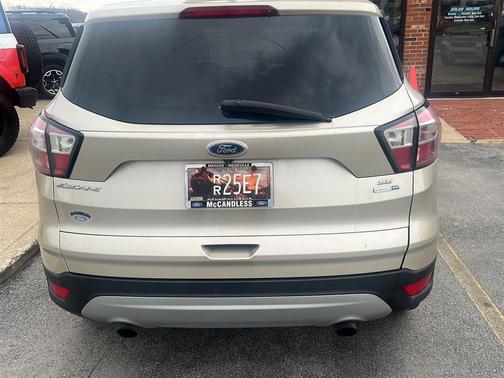 White Gold 2017 Ford Escape SE