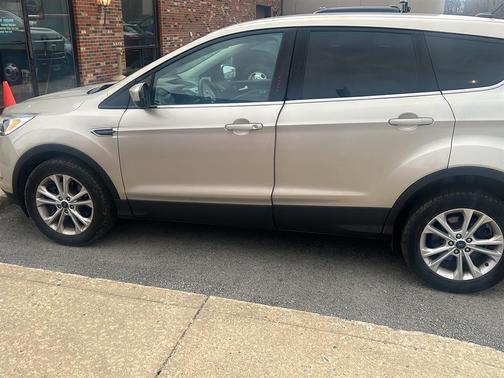 White Gold 2017 Ford Escape SE
