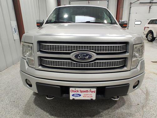 Brilliant Silver Clearcoat Metallic 2009 Ford F-150 Platinum