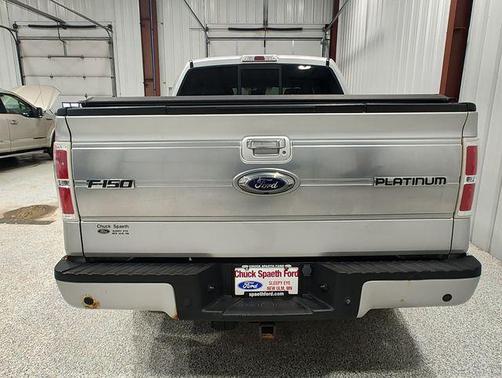 Brilliant Silver Clearcoat Metallic 2009 Ford F-150 Platinum