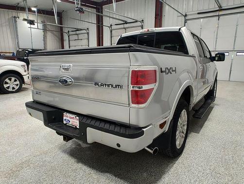 Brilliant Silver Clearcoat Metallic 2009 Ford F-150 Platinum