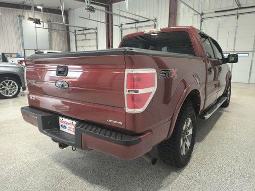 Sunset Metallic 2014 Ford F-150 STX