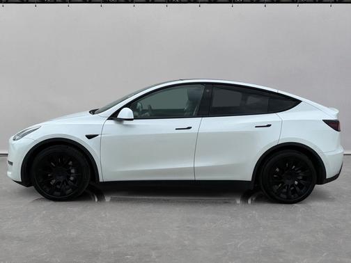 Pearl White Multi-Coat 2021 Tesla Model Y Long Range AWD