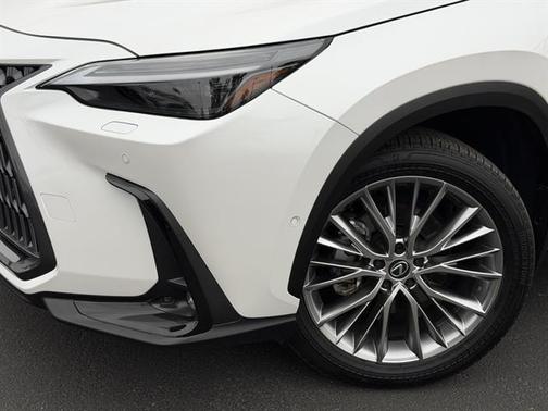 2025 Lexus NX 350h Luxury