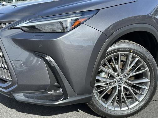 2024 Lexus NX 350h Luxury