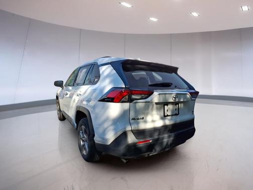 Ice Cap 2025 Toyota RAV4 XLE