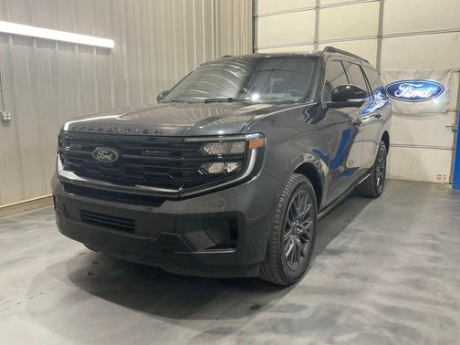 Gray Metallic 2025 Ford Expedition Platinum