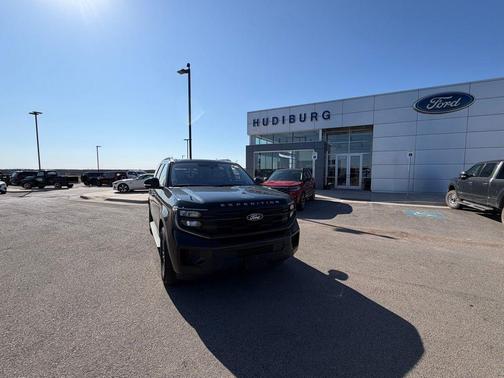 Black Metallic 2025 Ford Expedition Active