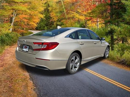 Brown 2019 Honda Accord EX-L