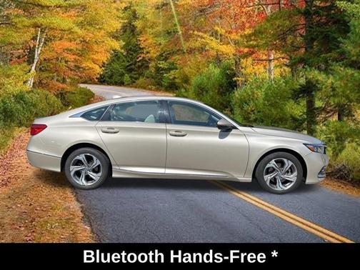 Brown 2019 Honda Accord EX-L