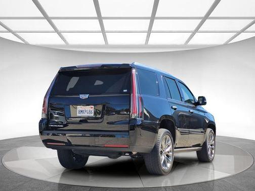 Black Raven 2019 Cadillac Escalade Platinum