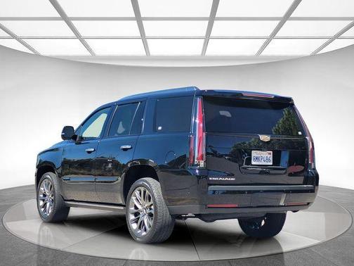 Black Raven 2019 Cadillac Escalade Platinum