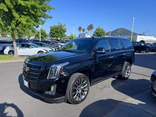 Black Raven 2019 Cadillac Escalade Platinum