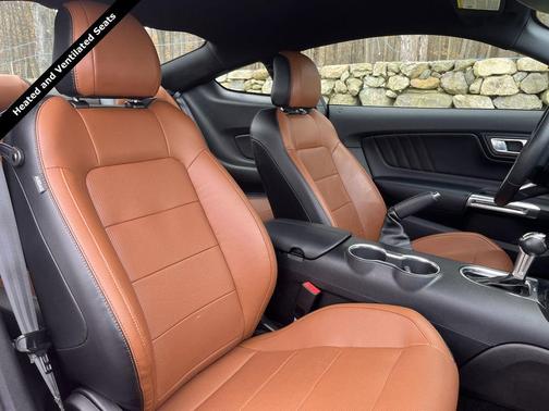 2019 Ford Mustang GT Premium